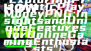 "Exploring Pragmatic Play Money PNG: Insights and Unique Features for Online Gaming Enthusiasts"